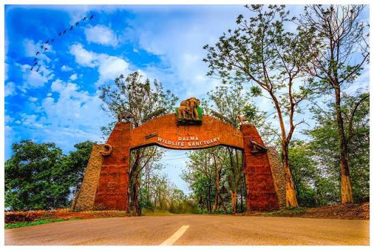 Dalma Wildlife Sanctuary